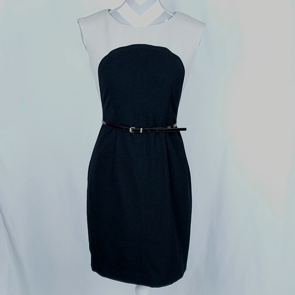 Calvin Klein Dresses & Skirts - Calvin Klein Belted Dress Black Taupe Sz 6P